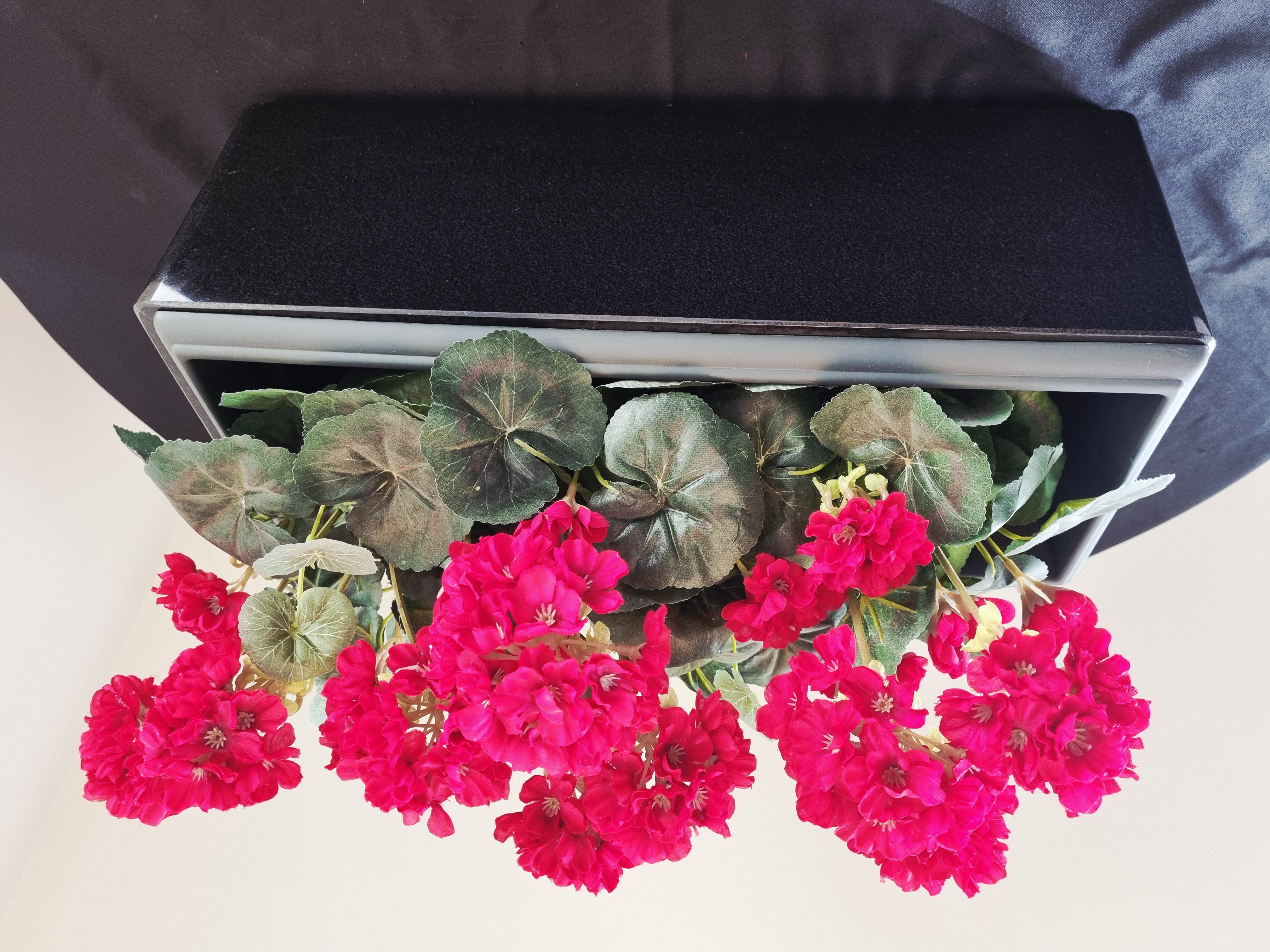Fleurs 2